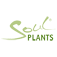 (c) Soul-plants.com